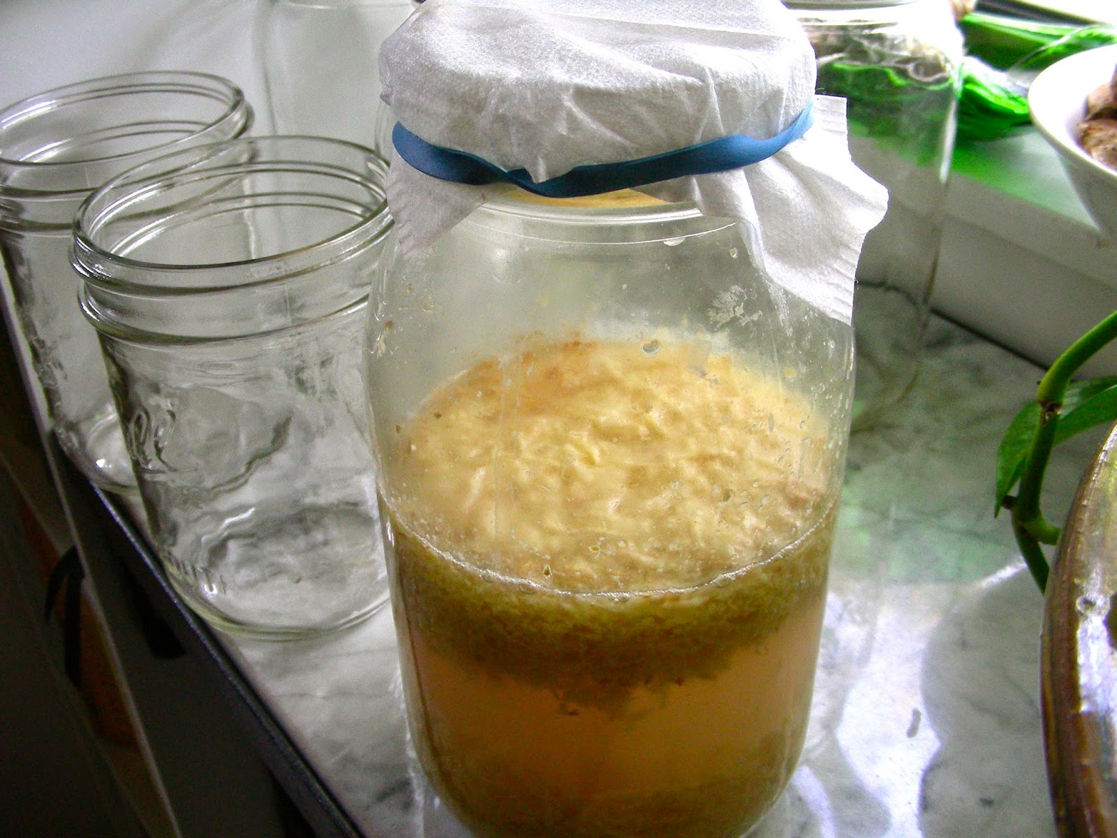 Susan Can Cook Ginger Ale and Root Beer Getting Down with Fermentation