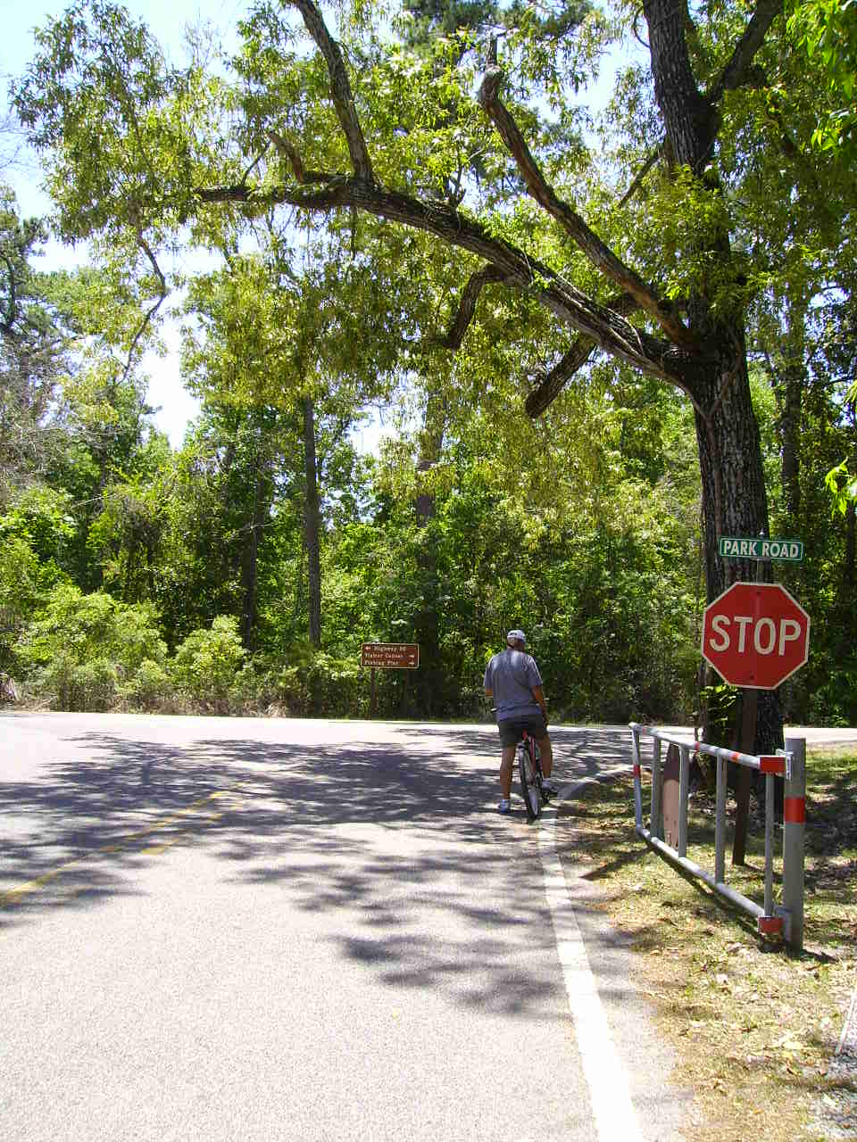 Ocean Springs 365 Afternoon Bike Ride in Gulf Islands National