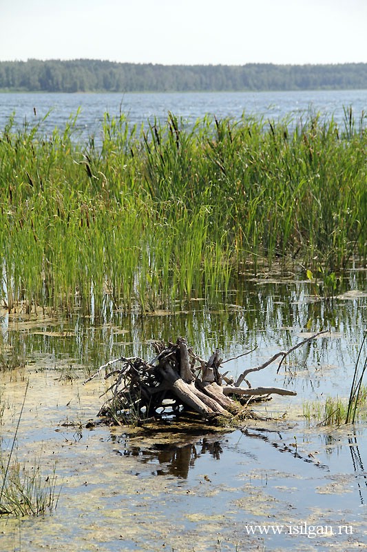 Озеро бектыш челябинская область Озеро бектыш челябинская область