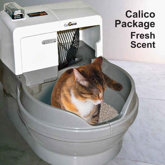 Babblings of a Bipolar Bimbo An Honest Review of the Cat Genie