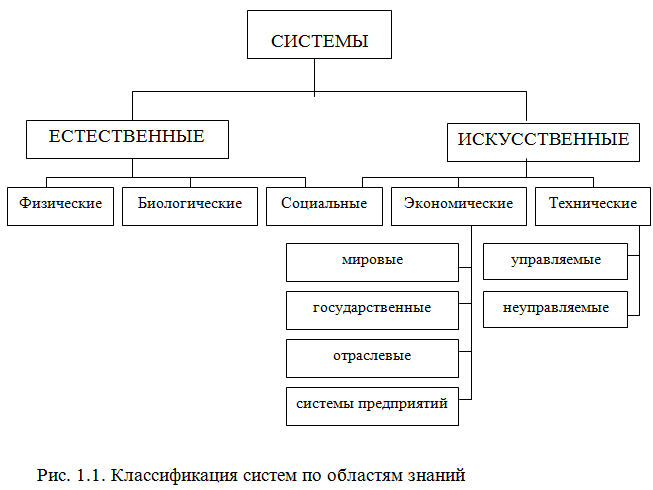 организм динамическая система. физические биологические и социальные системы. функциональные системы организма виды. понятия социальной основы физической культуры. социальная природа человека.