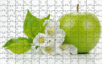 Green apple puzzle