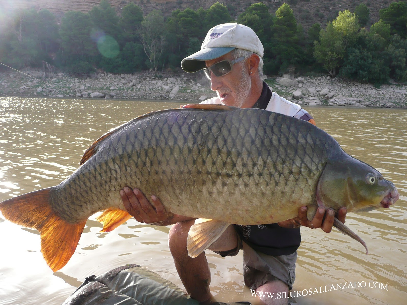 PESCA CON GUÍA DEL SILURO AL LANCE Y PELLETS EN MEQUINENZA Y RÍO EBRO
