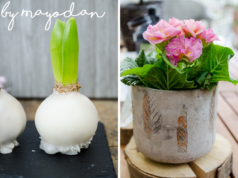 DIY Blumenzwiebeln in Wachs Mayodans Blog