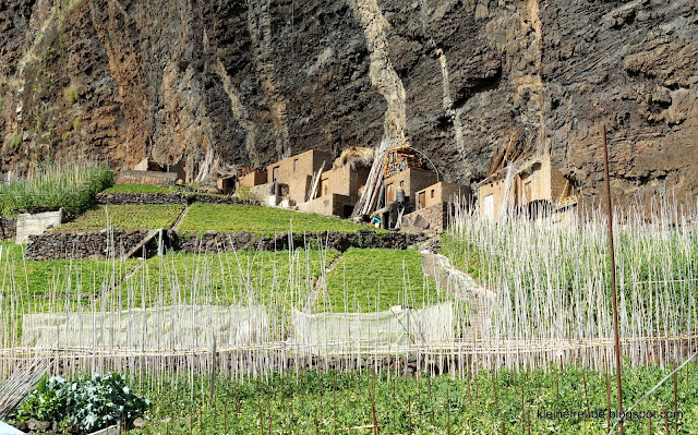 kleine freude Minha querida Madeira / 2