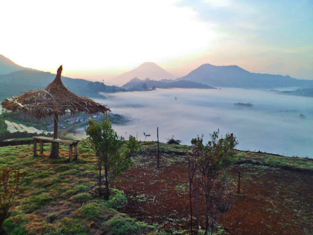 Penasaran Dengan Embun Es, Wisatawan Ramai-ramai Datangi Dieng Penasaran Dengan Embun Es, Wisatawan Ramai-ramai Datangi Dieng
