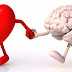 ¿Qué nos produce el efecto del amor, el corazón o el cerebro?