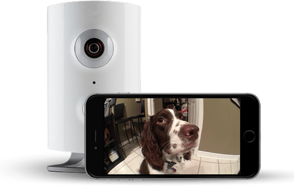 數位時代翻攝自 Piper 官網