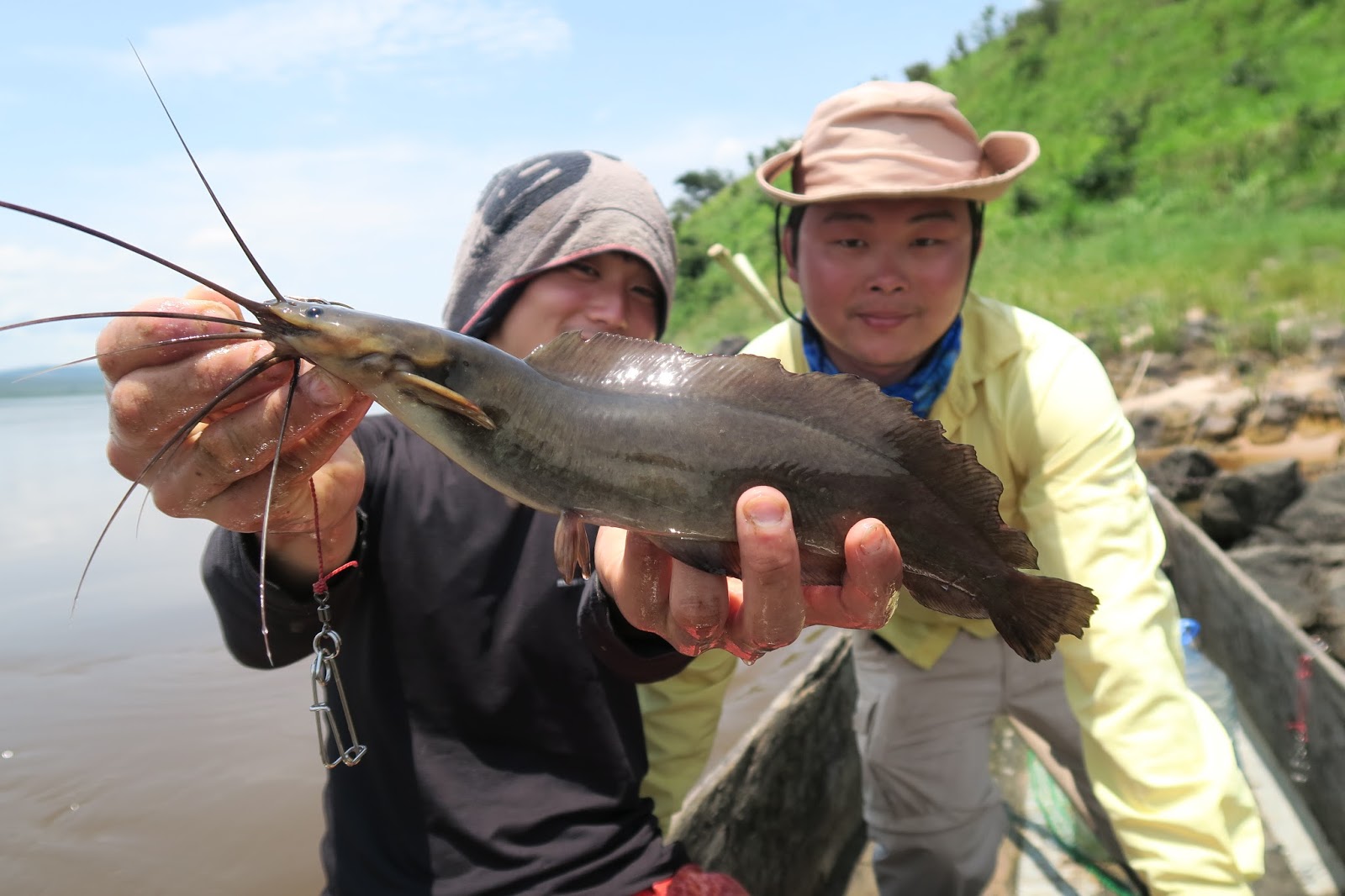怪魚と世界の旅ノート コンゴ川の珍魚その２