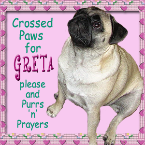 Hugs and Purrs to Greta and Family