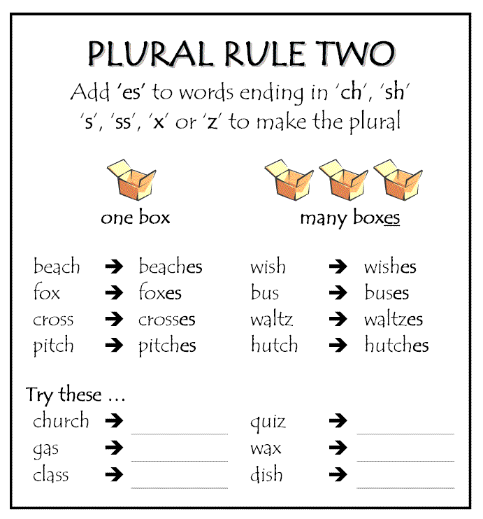 yummy-english-for-children-revise-the-plurals