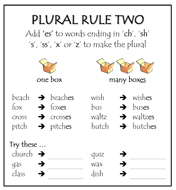Yummy English For Children Revise The Plurals 