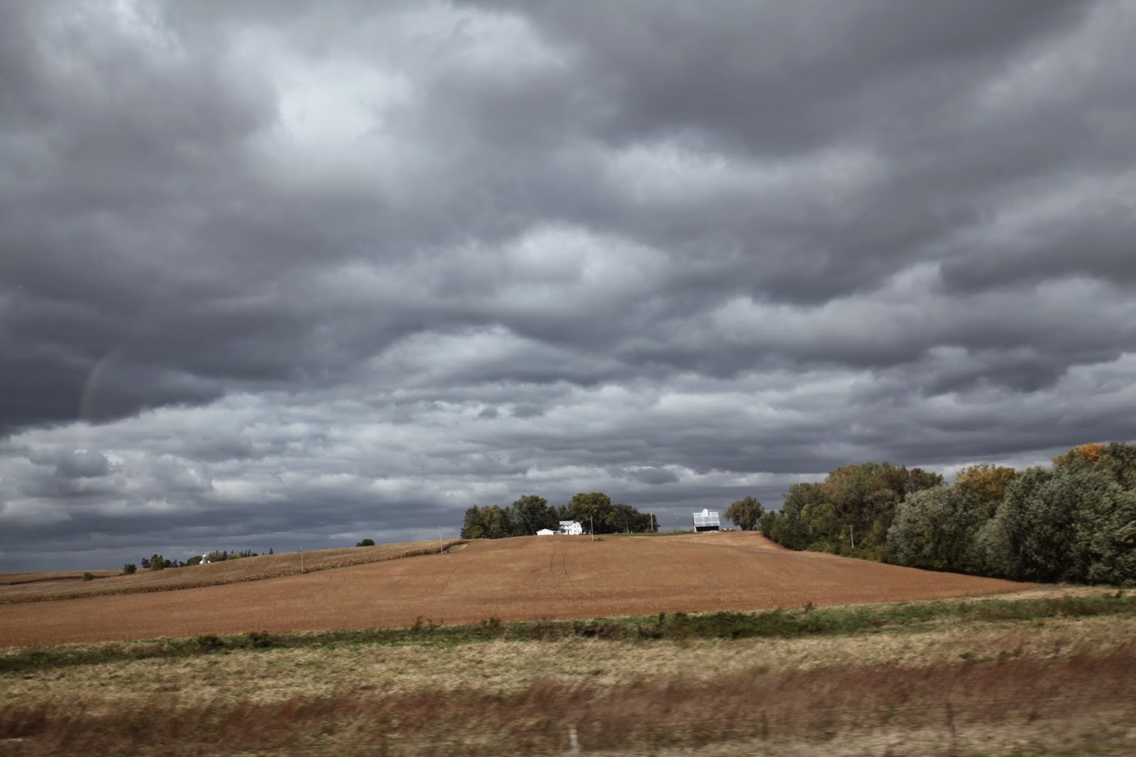 Black Sheep Woolens The Woolen Needle