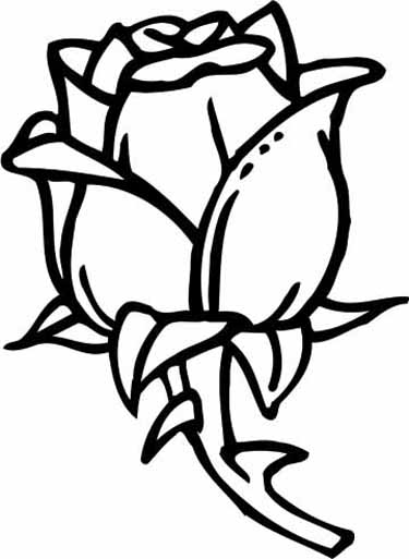 a rose coloring pages - photo #46