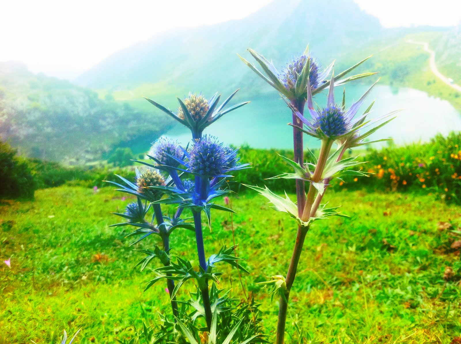 TAXI AEROPUERTO de ASTURIAS OVIEDO 50€ y traslados VIP Taxi Asturias