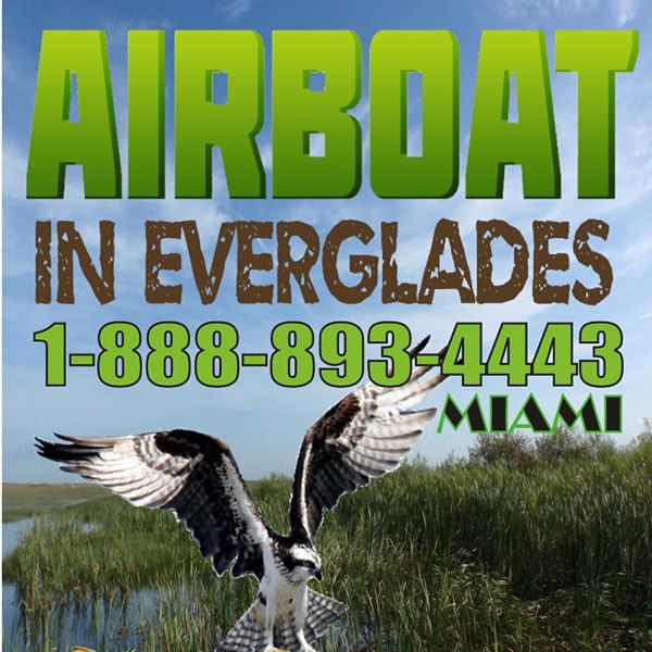 Airboat In Everglades - Miami Florida - The Best Airboat tour
