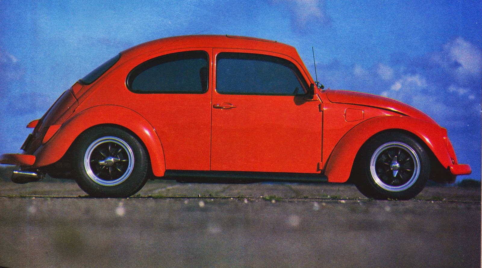 Nederbugs Built Not Bought Brian s