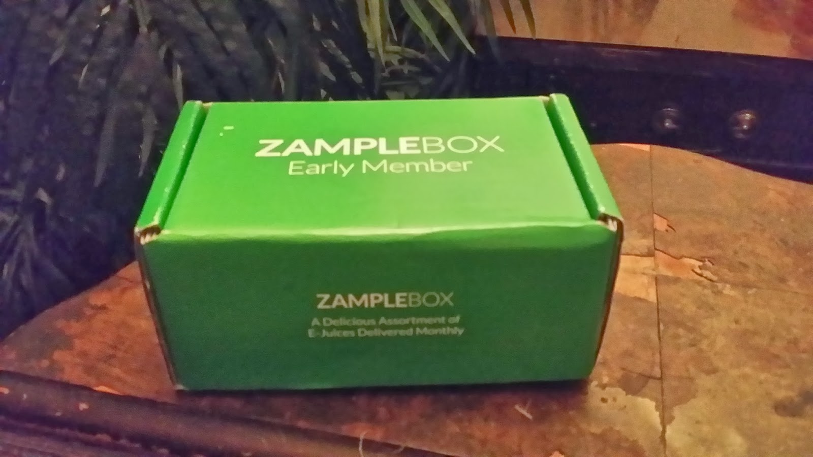 Vapor Chaser ZampleBox Review and Q and A with Tony