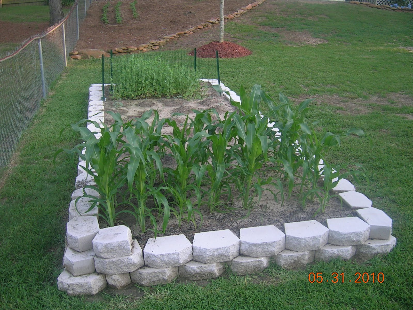 Georgia Home Garden: April 2011