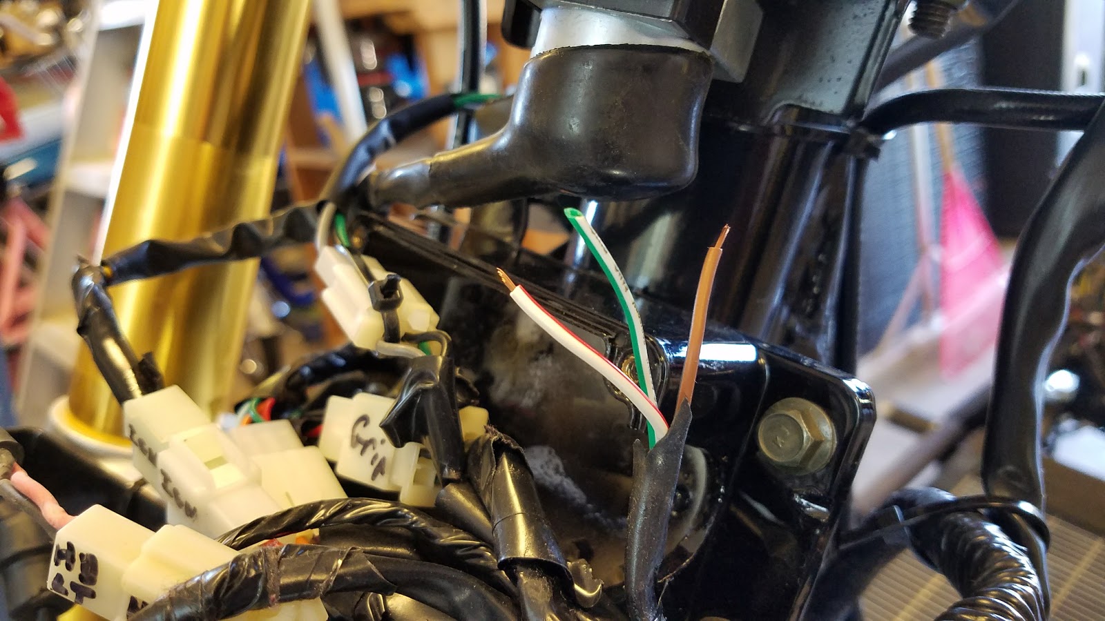 Daymak Beast and Upgrades Reverse on a Scooter? Why not.