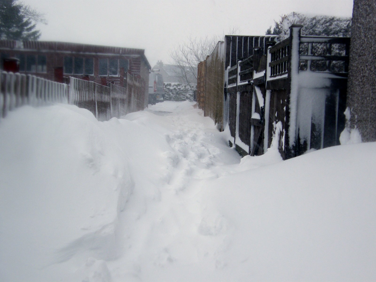WEST YORKSHIRE BIRDING Queensbury in the snow