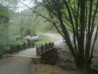 YAŞAMIN İÇİNDEN KARELER...: hangi yolu seçse çıkmaz bir sokak / bir