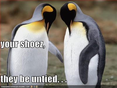 untied-shoes-penguins.jpg