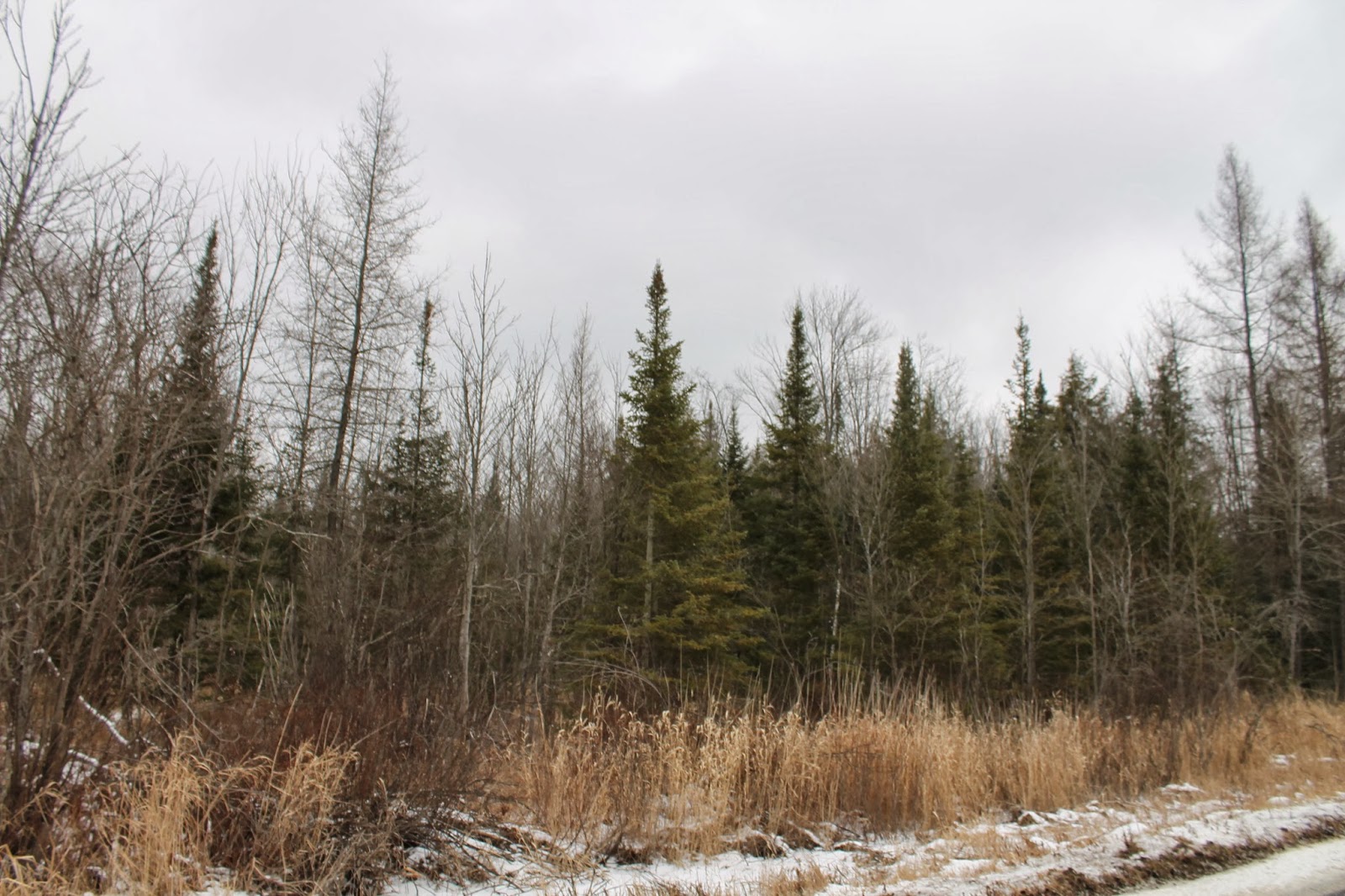 Ted Currie; Antique Head GRAVENHURST, MUSKOKA, PART 2, ADA FLORENCE