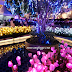 Kerlipan Lampu Di Illumination Flowers Show Eco Sky