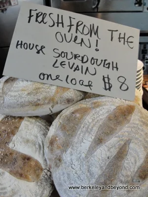 bread loaves for sale at Homestead in Oakland, CA