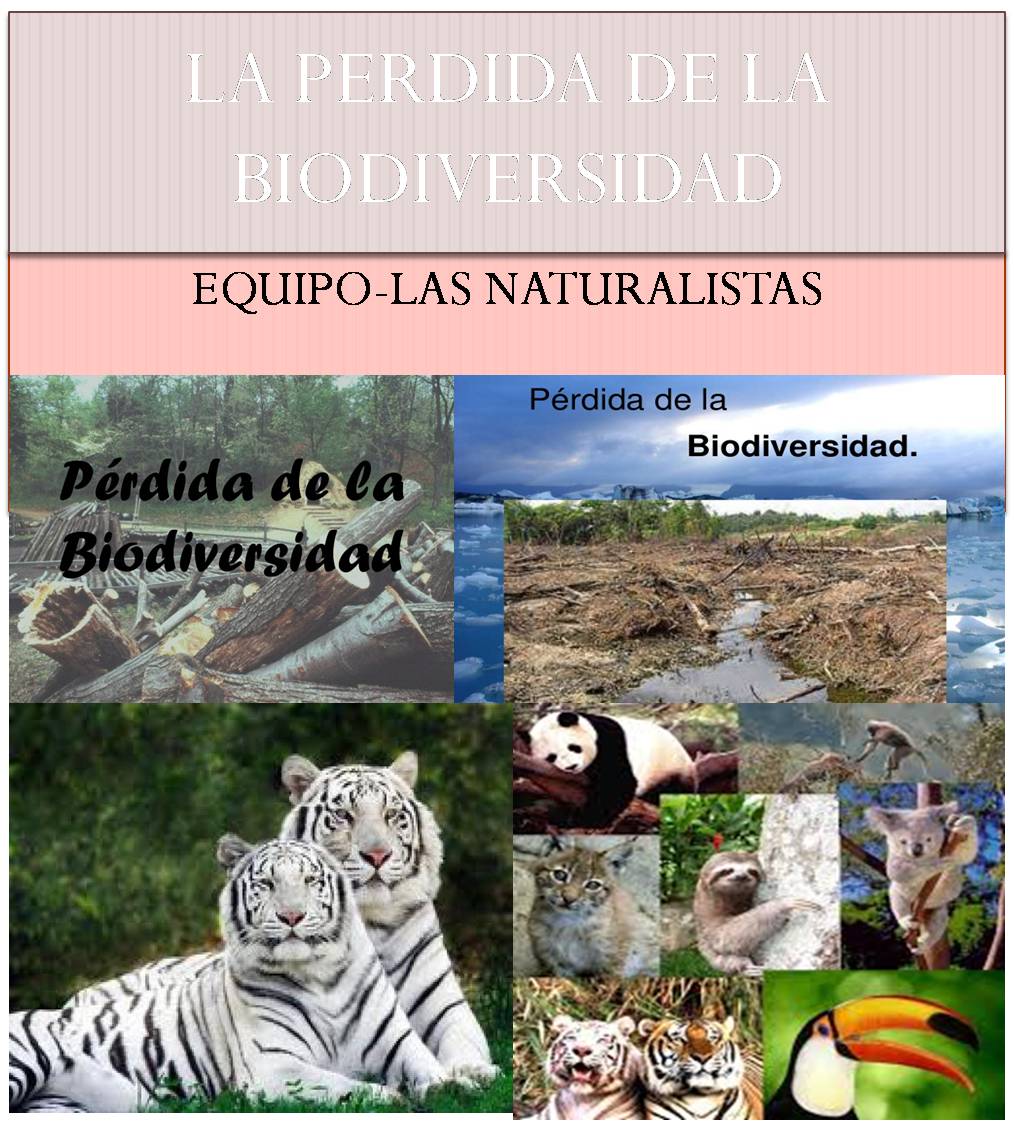 NH Recuperemos Nuestro Ambiente: La perdida de la Biodiversidad