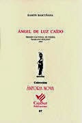 ÁNGEL DE LUZ CAÍDO [2005]