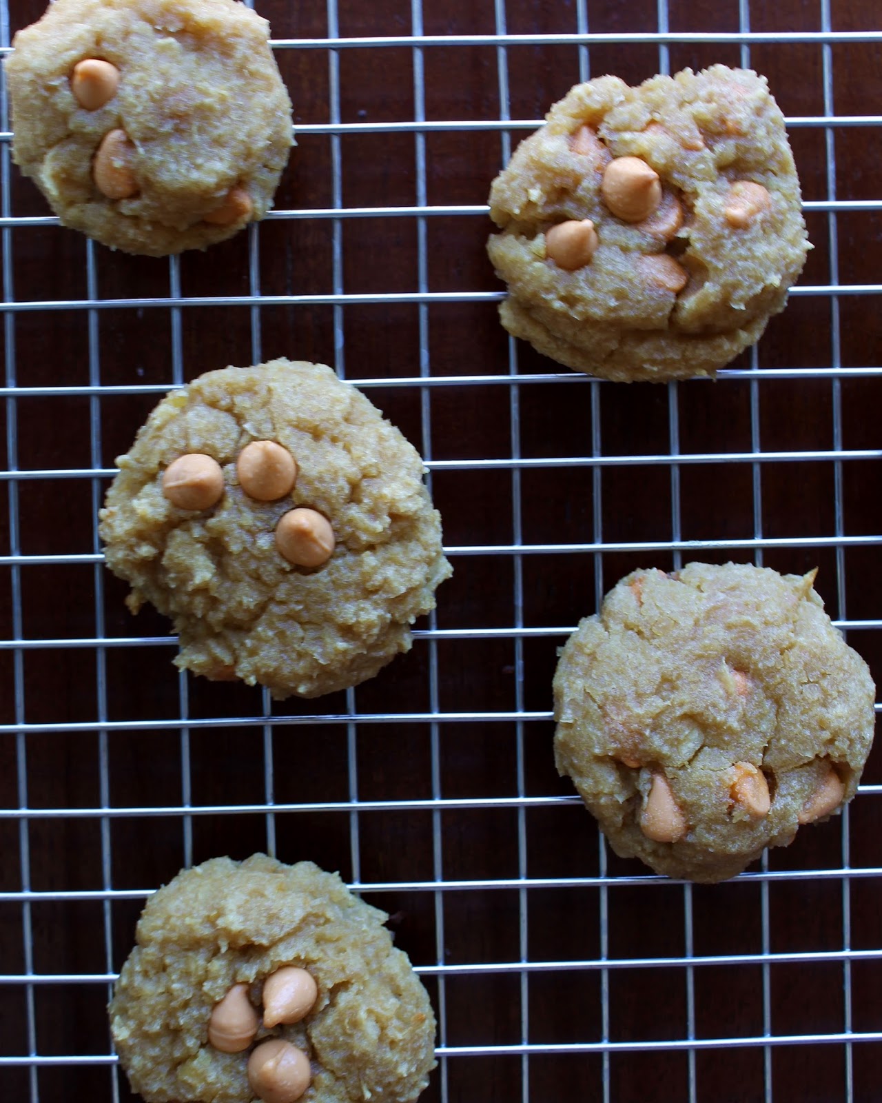 Auntie Bethany The Best Gluten Free Butterscotch Chip Chickpea Cookies