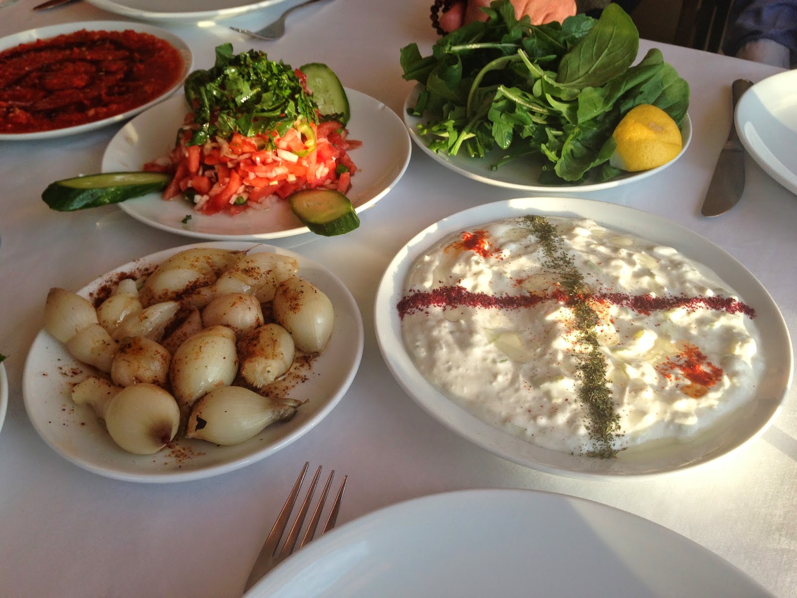 Çatkapı Ankara lezzetleri Adanalı Hüseyin Usta�nın Yeri Ormana