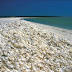 Shell Beach - An Australian beach entirely composed of shells