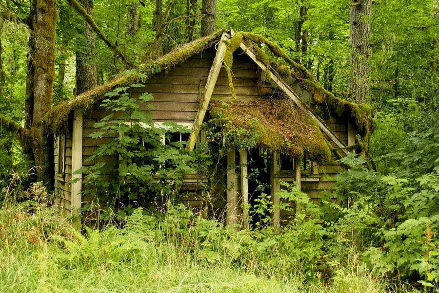 بيت في الغابة