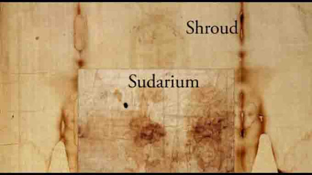 The Shroud of turin and the Sudarium covered the same person. � 1978 Mark Evans Collection, STERA, Inc. All Rights Reserved