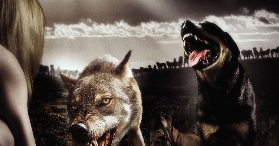 Что такое свора. Что такое свора. Что такое свора. Что такое свора. Стая собак фото.