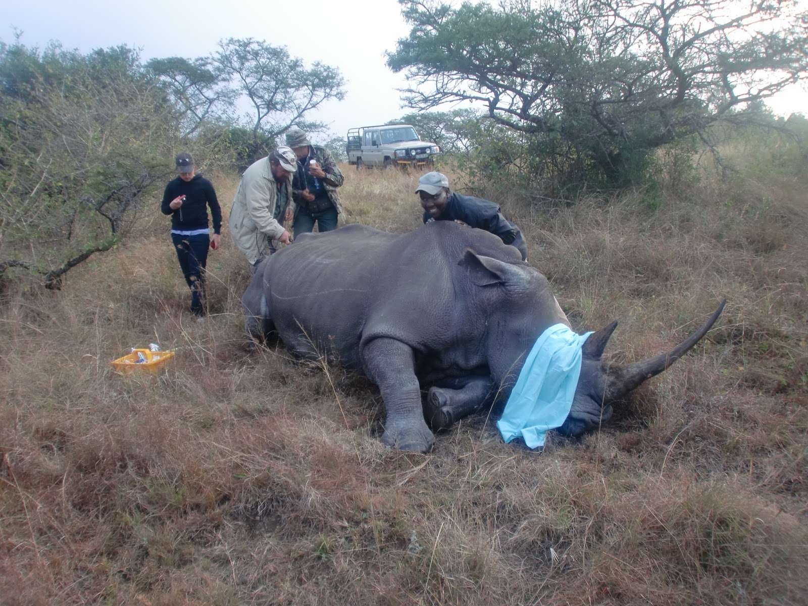 Volunteer Africa Blog: Pre-Vet Hands-On Experience in South Africa