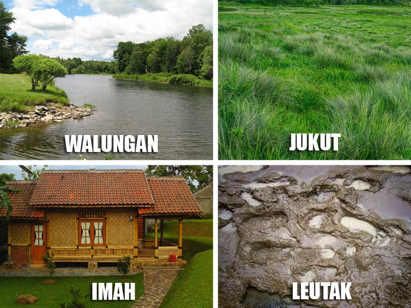 87+ Gambar Binatang Lucu Bahasa Sunda Kekinian 87+ Gambar Binatang Lucu Bahasa Sunda Kekinian
