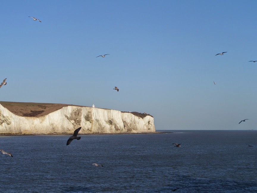 Madhouse Family Reviews Madhouse Diaries Not quite bluebirds over