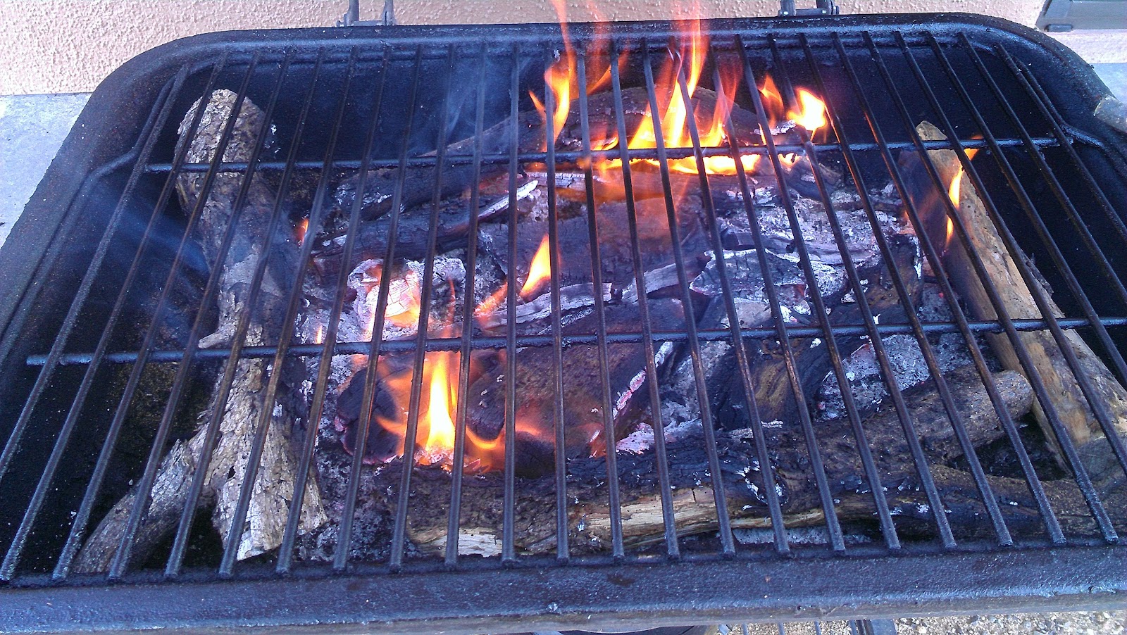 Masterbuilt 30” Electric Smoker and Oklahoma Joe's Highland Reverse