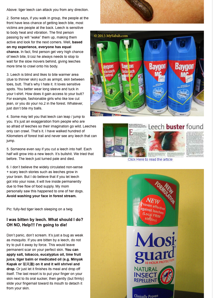 Malaysian Nature Society Kuching Branch How to prevent leech bite?