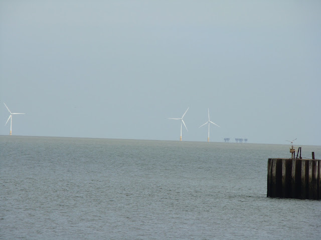 Lori and Tim in the UK: Canterbury, White Cliffs of Dover, and Whitstable