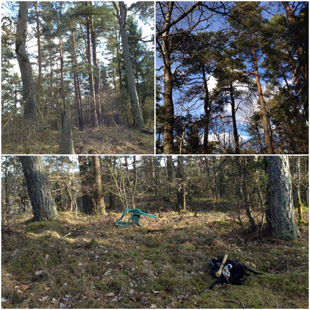 Matsu no ma shakuhachi camp Shakuhachidagboken