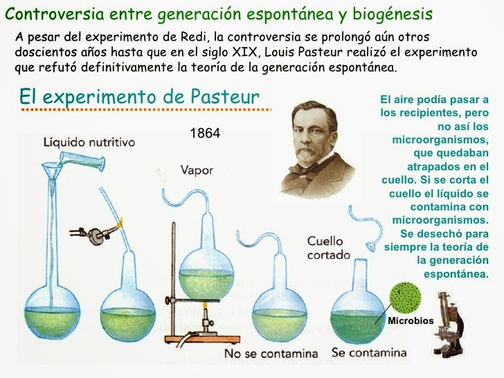 La evolución de los seres vivos Los primeros seres vivos La evolución de los seres vivos Los primeros seres vivos