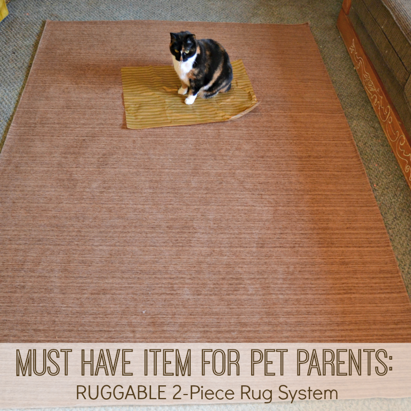 Must Have Item for Pet Parents RUGGABLE® 2Piece Rug System
