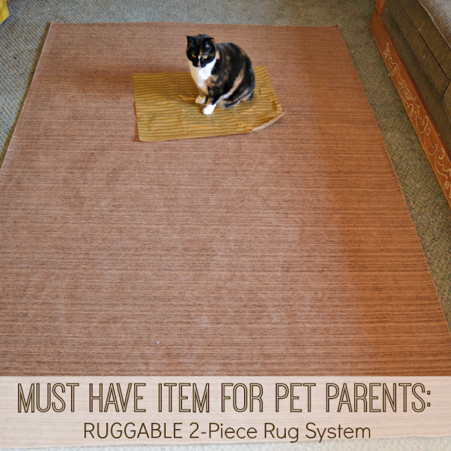 Must Have Item for Pet Parents RUGGABLE® 2Piece Rug System