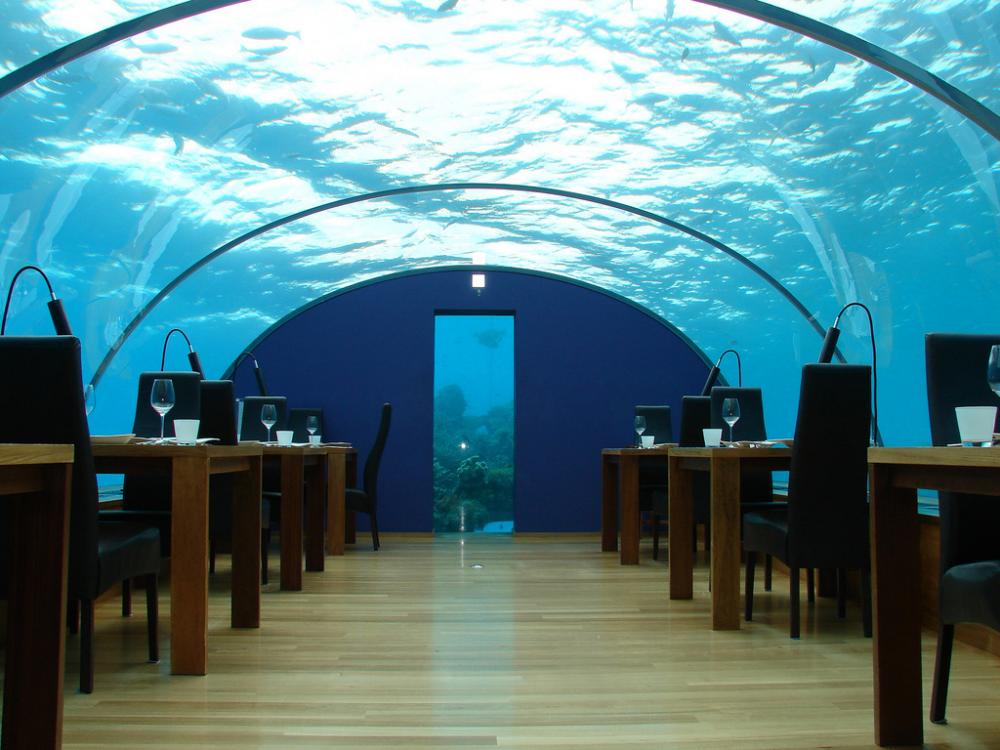 Underwater Adventures at Conrad Maldives Rangali Island ... Underwater Adventures at Conrad Maldives Rangali Island ...