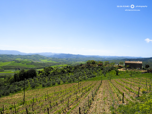 Casole d'Elsa Toscana